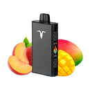 Pod Descartável V250 com 25000 puffs | Ignite ALDEIAVAPE