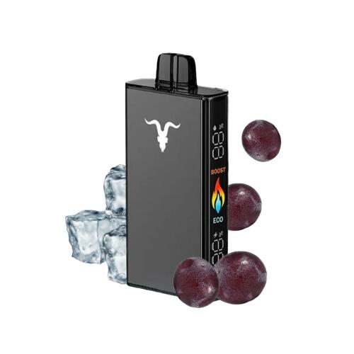 Pod Descartável V250 com 25000 puffs | Ignite ALDEIAVAPE