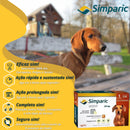 Simparic 20 Mg 5,1 A 10 Kg 1 unidade Zoetis