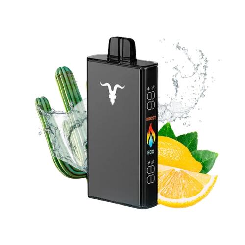 Pod Descartável V250 com 25000 puffs | Ignite ALDEIAVAPE