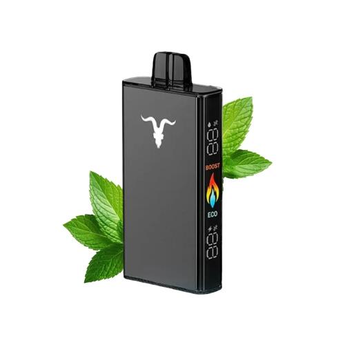 Pod Descartável V250 com 25000 puffs | Ignite ALDEIAVAPE