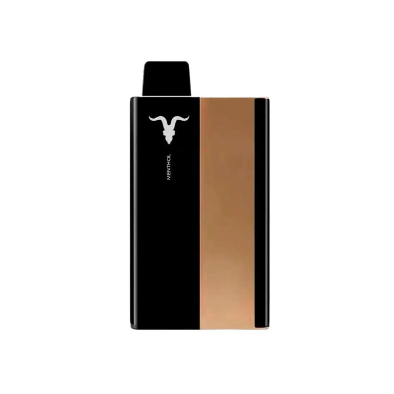 Pod Descartável P100 Pro - 10000 puffs | Ignite